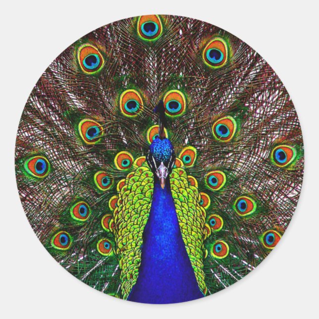 Sticker Rond Le paon (Devant)