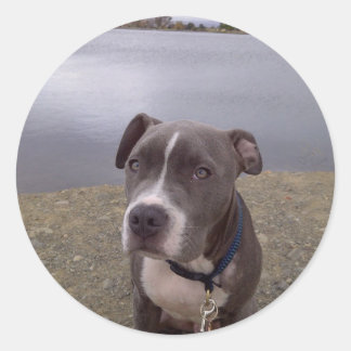 Sticker Rond Le parc Koa Vasona