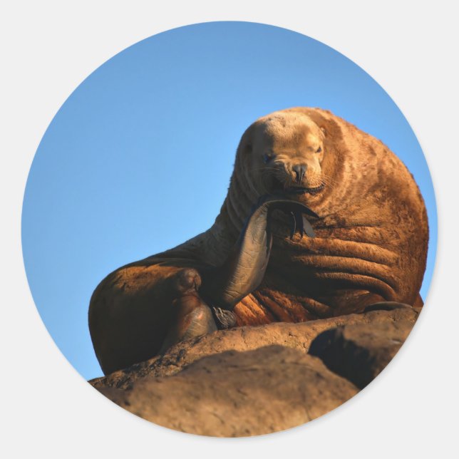 Sticker Rond Le penseur (Devant)