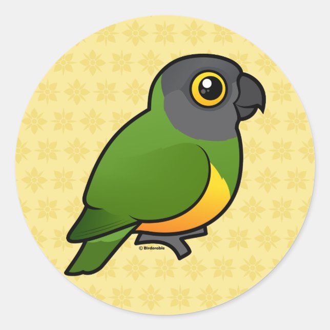 Sticker Rond Le perroquet du Sénégal (Devant)