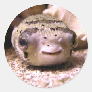 Sticker Rond Le poisson-globe d'Helaine