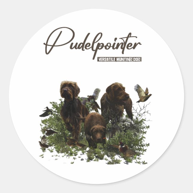 Sticker Rond Le Pudelpointer (Devant)
