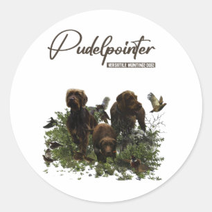 Sticker Rond Le Pudelpointer