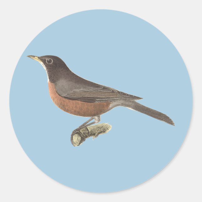 Sticker Rond Le Robin américain (Turdus migratorius) NY Birds (Devant)