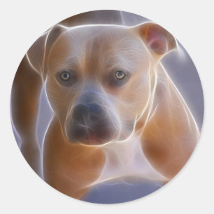 Sticker Rond Le statu quo