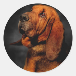Sticker Rond Le terreau