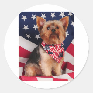 Sticker Rond Le Yorkie américain