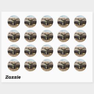 Sticker Rond Leçon de vie de rhinocéros bébé,
