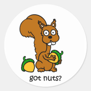 Sticker Rond L'écureuil mignon a des noix