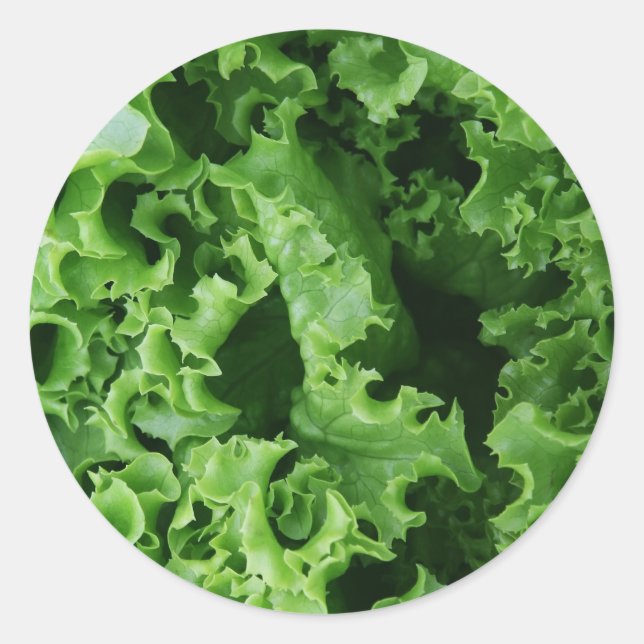 Sticker Rond Légumes de la laitue verte (Devant)