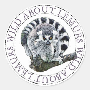 Sticker Rond Lemur