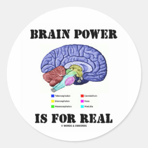 Sticker Rond L'Énergie Cervicale Est Réelle (Attitude Anatomiqu