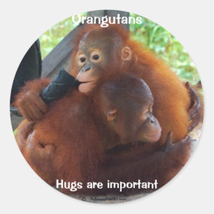 Sticker Rond Les carottes sont importantes