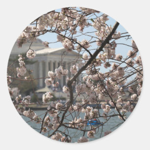 Sticker Rond Les cerisiers en fleurs à Washington DC