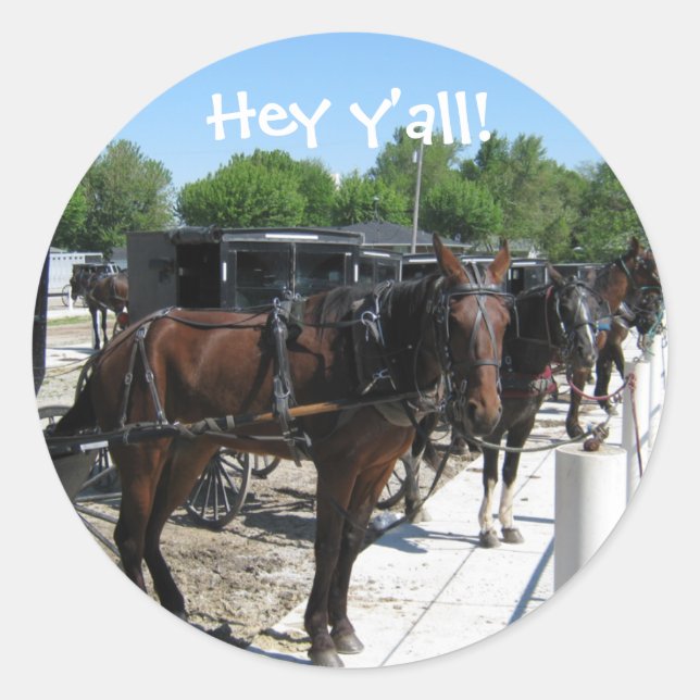 Sticker Rond Les Chevaux Amish Dites Bonjour ! (Devant)