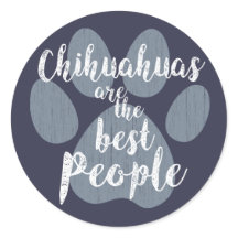 Les Chihuahuas sont les meilleures personnes