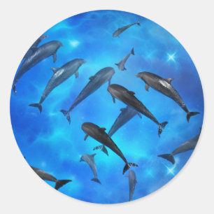 Sticker Rond Les dauphins nageant dans l'océan