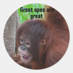 Sticker Rond Les grandes singes sont grandes