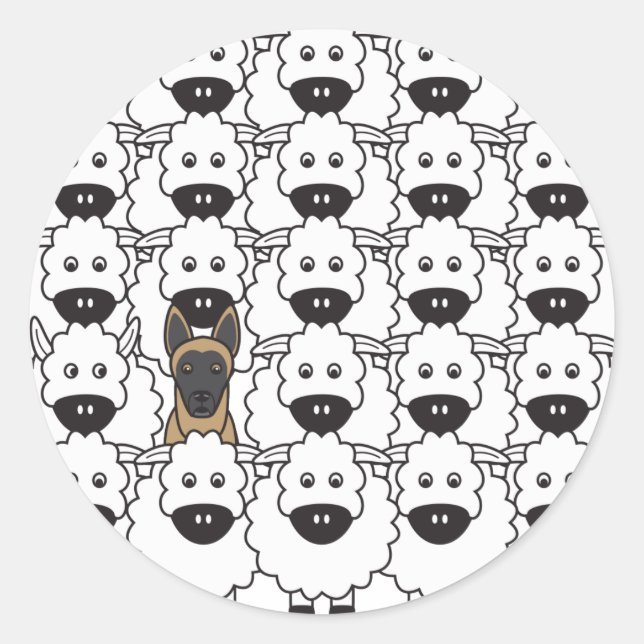 Sticker Rond Les Malinois belges dans le mouton (Devant)
