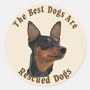 Sticker Rond Les meilleurs chiens sont secourus - Pinscher