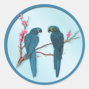 Sticker Rond Les perroquets tropicaux