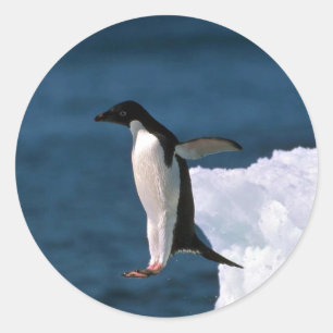 Sticker Rond Les Pingouins De La Publicité Sautent D'Un Iceberg