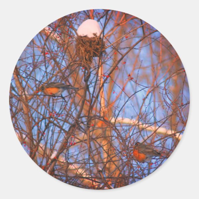 Sticker Rond Les Robins d'hiver Faune Nature (Devant)