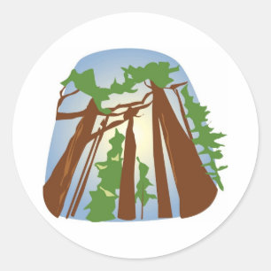 Sticker Rond Les séquoias avec soleil
