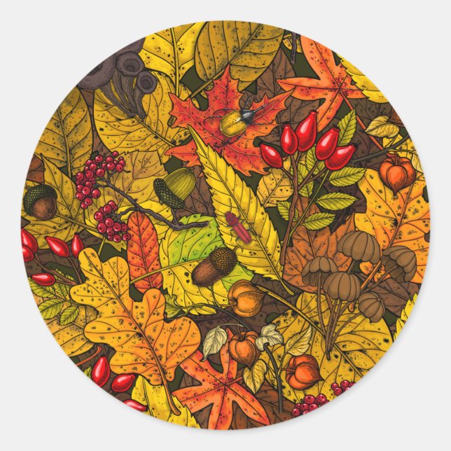 Sticker Rond Les trésors d'automne (Devant)