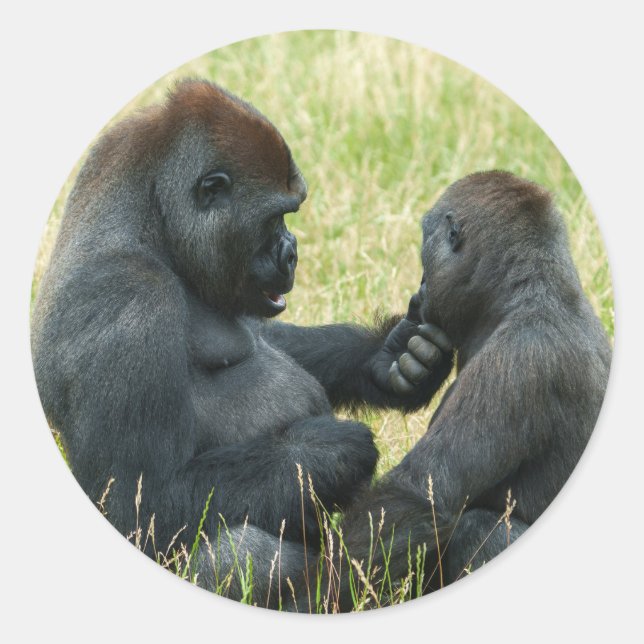Sticker Rond L'éternel frère Gorilla (Devant)