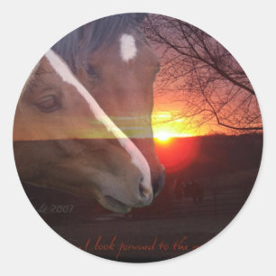 Sticker Rond Levée de soleil des chevaux