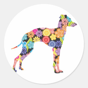 Sticker Rond Lévrier italien