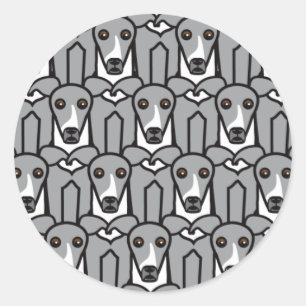 Sticker Rond Lévriers italiens