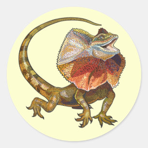 Sticker Rond lézard à col cassé