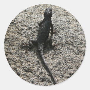 Sticker Rond Lézard noir