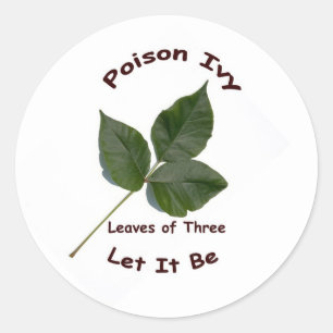 Sticker Rond Lierre de poison