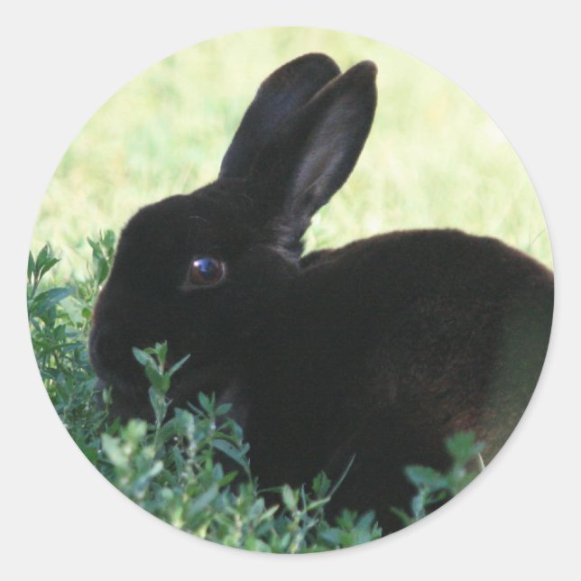 Sticker Rond Lil Black Bunny (Devant)