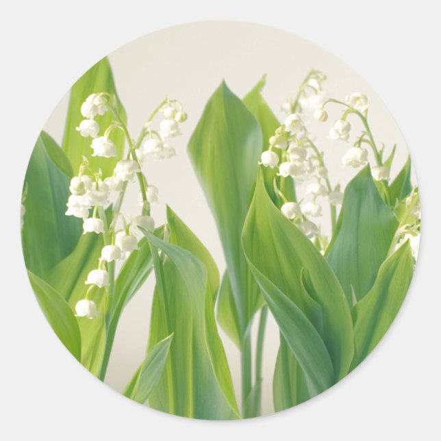 Sticker Rond Lily de la Vallée (Devant)