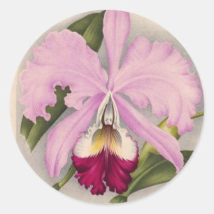 Sticker Rond "Linden Orchid", 1897 Botanique