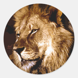 Sticker Rond Lion africain
