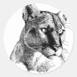Sticker Rond Lion de montagne