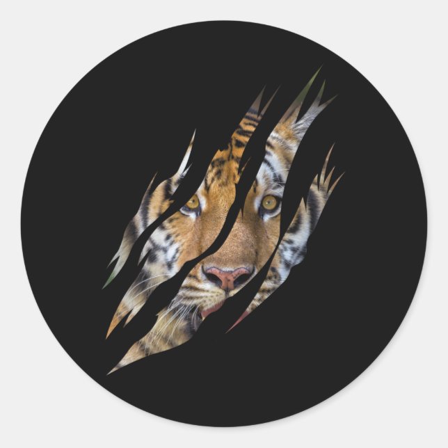 Sticker Rond Lion Face Tiger Safari Claw déchirée (Devant)