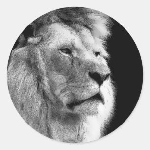 Sticker Rond Lion noir blanc