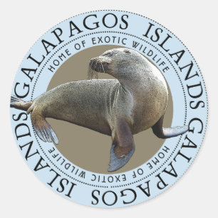 Sticker Rond Lions de mer des îles Galapagos