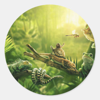 Sticker Rond Lizards Grenouilles Jungle Reptiles Paysage
