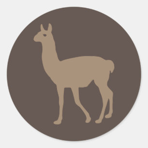 Sticker Rond Llama