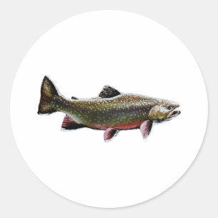 Sticker Rond Logo de truite de ruisseau (natation)