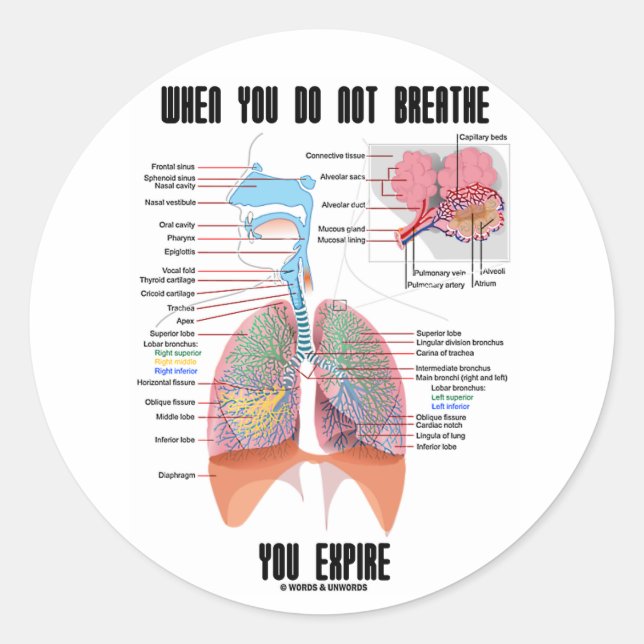 Sticker Rond Lorsque Vous Ne Respirez Pas Vous Expire (Respirat (Devant)