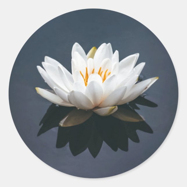 STICKER ROND LOTUS (Devant)