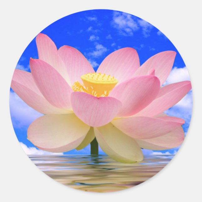 Sticker Rond Lotus Flower né dans l'eau (Devant)